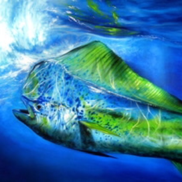 Meet your Posher, Posh - Picture 1 of 1